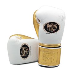 Боксерские перчатки No Boxing No Life - белые / золотые