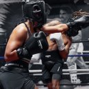 Боксерские перчатки Hayabusa Pro Lace - черные