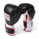 Боксерские перчатки Paffen Sport PRO PERFORMANCE 