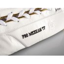 Боевые перчатки Paffen Sport PRO MEXICAN TF Золотые
