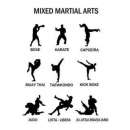 Виды и стили поединков в MMA (Mixed Martial Arts)