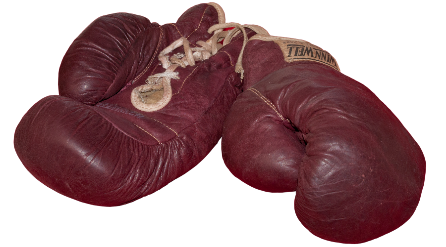 Виды боксерских перчаток